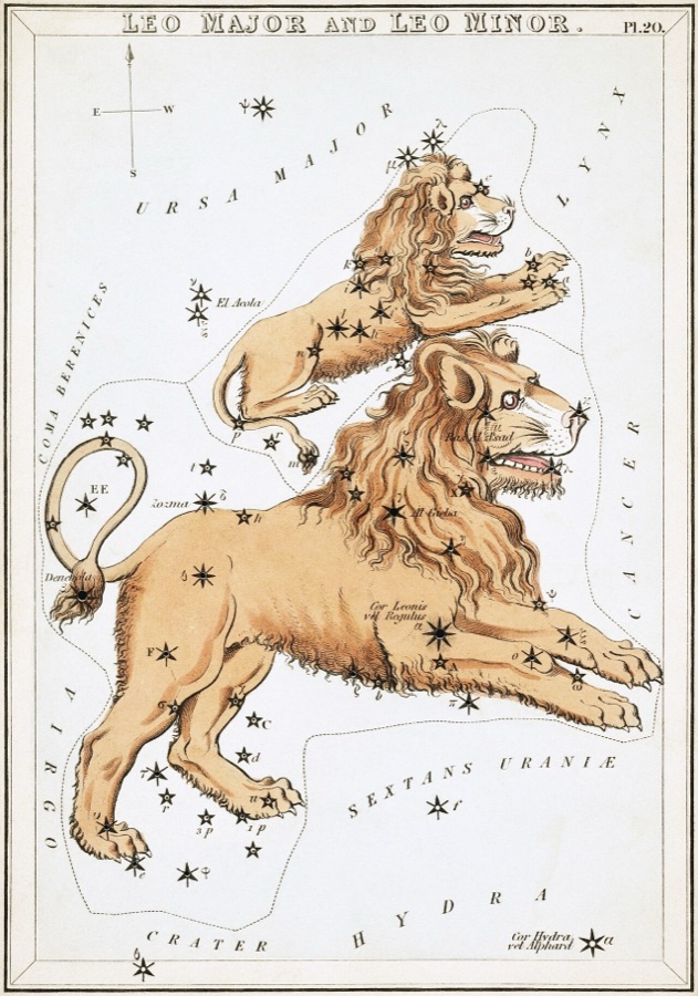 Leo