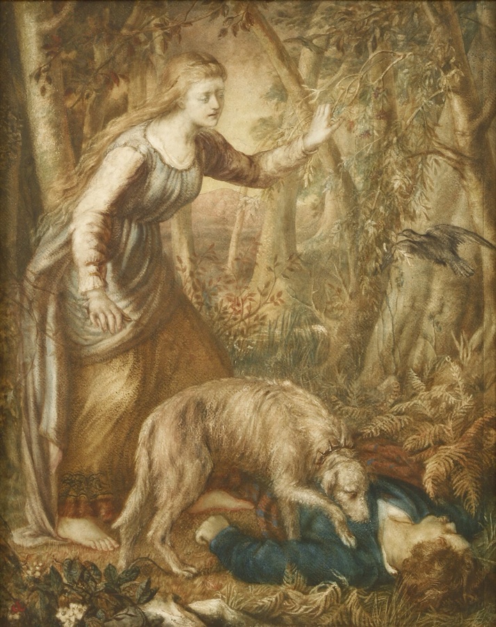 Dogs