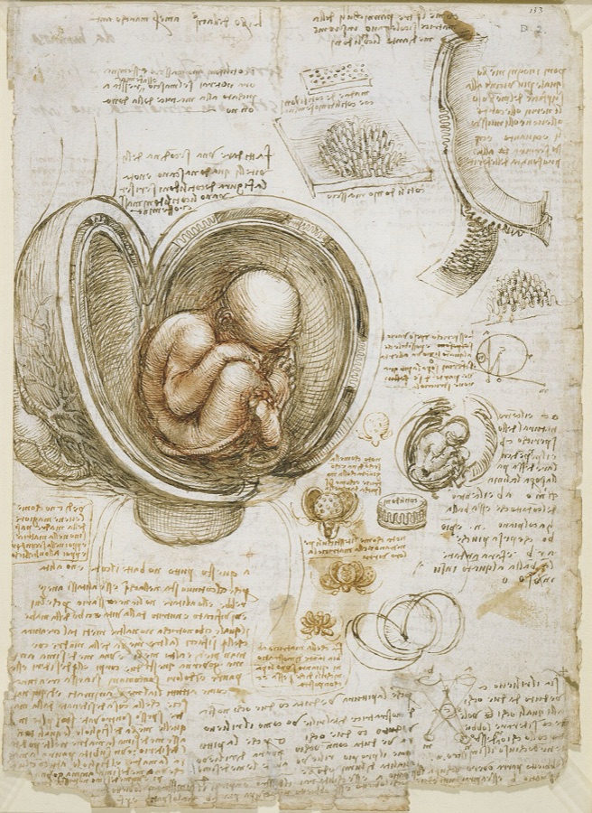 Pregnancy