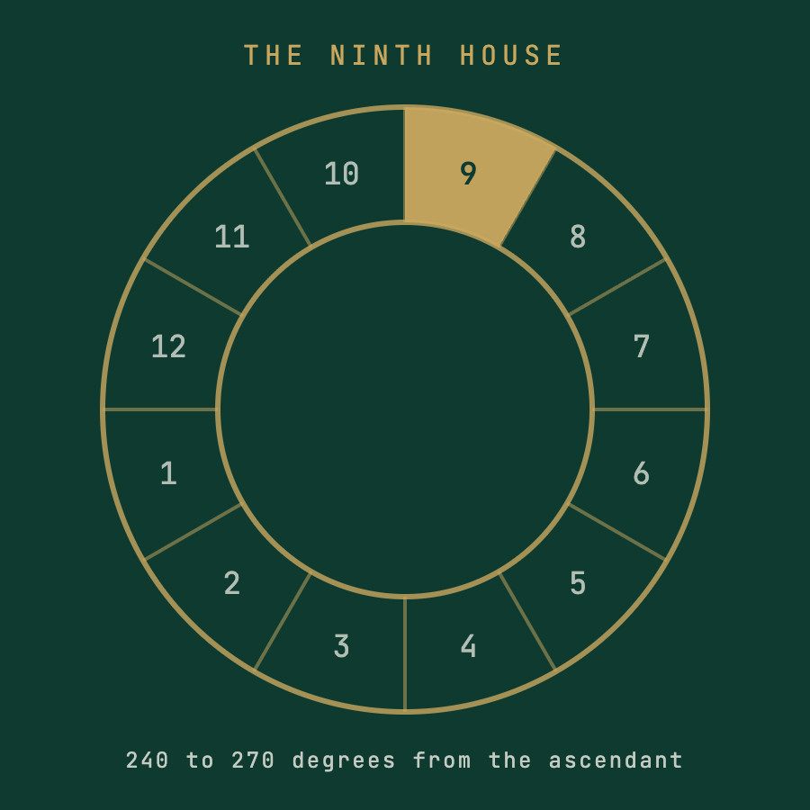 The Ninth House