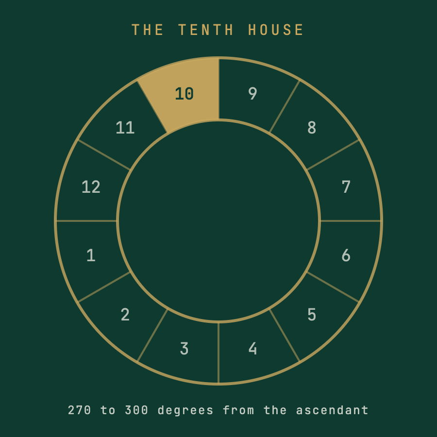 The Tenth House