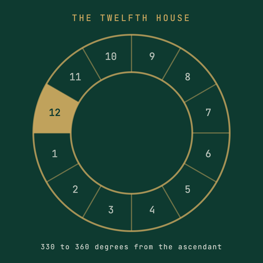 The Twelfth House